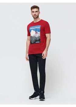 Sinsay - Koszulka bawełniana z nadrukiem - czerwony ze sklepu Sinsay w kategorii T-shirty męskie - zdjęcie 161209512