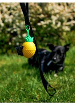 Sinsay - Etui i woreczki na psie odchody - żółty ze sklepu Sinsay w kategorii Dla zwierząt - zdjęcie 161211842