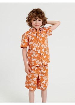 Sinsay - Komplet: koszulka i szorty - wielobarwny ze sklepu Sinsay w kategorii Komplety chłopięce - zdjęcie 161215002