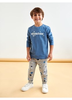 Sinsay - Spodnie dresowe jogger - szary ze sklepu Sinsay w kategorii Spodnie chłopięce - zdjęcie 161215203