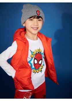 Sinsay - Czapka Spiderman - szary ze sklepu Sinsay w kategorii Czapki dziecięce - zdjęcie 161215420