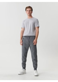 Sinsay - Spodnie dresowe jogger - szary ze sklepu Sinsay w kategorii Spodnie męskie - zdjęcie 161229723