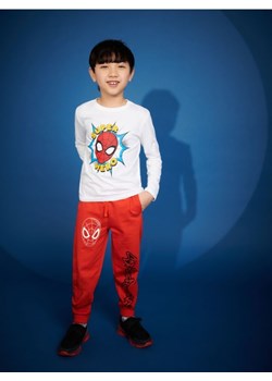 Sinsay - Koszulka Spiderman - biały ze sklepu Sinsay w kategorii T-shirty chłopięce - zdjęcie 161310391