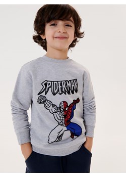 Sinsay - Bluza Spiderman - szary ze sklepu Sinsay w kategorii Bluzy chłopięce - zdjęcie 161364371