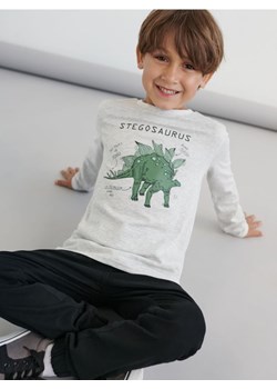 Sinsay - Koszulka z nadrukiem - szary ze sklepu Sinsay w kategorii T-shirty chłopięce - zdjęcie 161766070