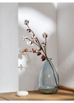 Sinsay - Roślina ozdobna - biały ze sklepu Sinsay w kategorii Dekoracje - zdjęcie 162013934