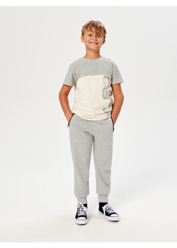 Sinsay - Spodnie dresowe jogger - szary ze sklepu Sinsay w kategorii Spodnie chłopięce - zdjęcie 162075963