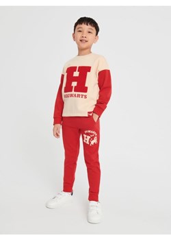 Sinsay - Spodnie dresowe jogger Harry Potter - czerwony ze sklepu Sinsay w kategorii Spodnie chłopięce - zdjęcie 162268361