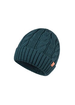 Zielona czapka merino wool warkocze braid ze sklepu Estera Shop w kategorii Czapki zimowe męskie - zdjęcie 162300463