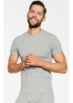 Bawełniana koszulka męska z krótkim rękawem szara Bosco 19777, Kolor szary, Rozmiar M, Rene vilard ze sklepu Primodo w kategorii T-shirty męskie - zdjęcie 162508514