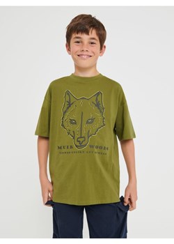 Sinsay - Koszulka z nadrukiem - zielony ze sklepu Sinsay w kategorii T-shirty chłopięce - zdjęcie 162947653