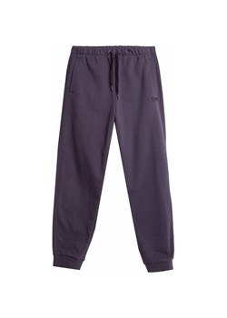 Spodnie męskie 4FAW23TTROM466 4F ze sklepu SPORT-SHOP.pl w kategorii Spodnie męskie - zdjęcie 163495292