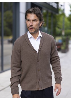 Sweter męski Leonardo kardigan - brąz - M ze sklepu Swetry Lasota w kategorii Swetry męskie - zdjęcie 163575261