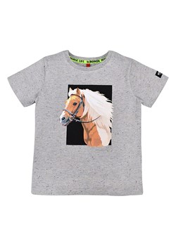 Bondi Koszulka &quot;Pferd&quot; w kolorze szarym ze sklepu Limango Polska w kategorii T-shirty chłopięce - zdjęcie 163781944