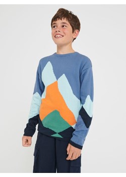 Sinsay - Sweter - wielobarwny ze sklepu Sinsay w kategorii Swetry chłopięce - zdjęcie 163860523