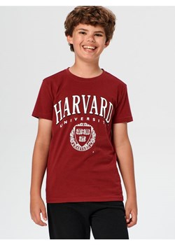 Sinsay - Koszulka Harvard - czerwony ze sklepu Sinsay w kategorii T-shirty chłopięce - zdjęcie 163916092