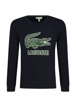 Lacoste Bluza | Regular Fit ze sklepu Gomez Fashion Store w kategorii Bluzy chłopięce - zdjęcie 164318661