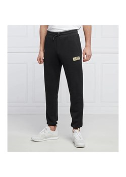 EA7 Spodnie dresowe | Regular Fit ze sklepu Gomez Fashion Store w kategorii Spodnie męskie - zdjęcie 164338682