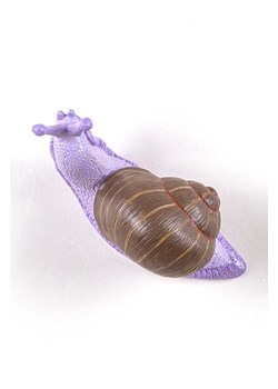Seletti wieszak ścienny Awake Snail #2 ze sklepu ANSWEAR.com w kategorii Dom - zdjęcie 164414180
