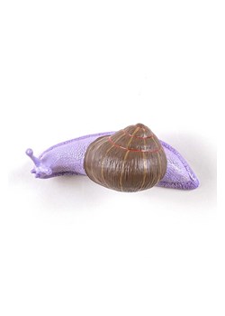 Seletti wieszak ścienny Slow Snail #3 ze sklepu ANSWEAR.com w kategorii Dom - zdjęcie 164414184