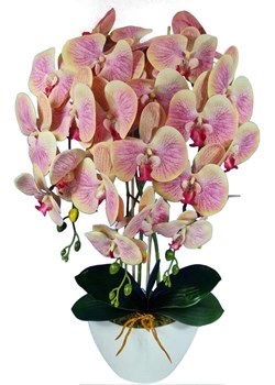 Storczyk orchidea- kompozycja kwiatowa 60 cm 3pgrz ze sklepu Pantofelek24.pl w kategorii Dekoracje - zdjęcie 164927674