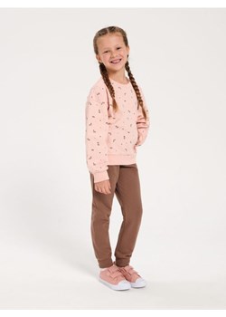 Sinsay - Komplet: bluza i spodnie - brązowy ze sklepu Sinsay w kategorii Dresy dziewczęce - zdjęcie 164931403