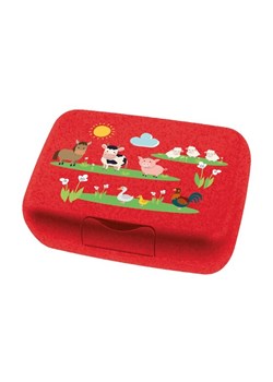 Lunchbox Koziol ze sklepu Modivo Dom w kategorii Naczynia dziecięce - zdjęcie 164995744