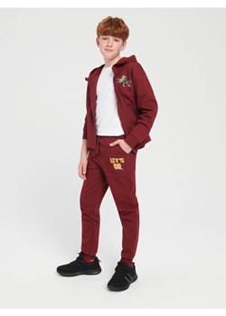 Sinsay - Spodnie dresowe jogger - czerwony ze sklepu Sinsay w kategorii Spodnie chłopięce - zdjęcie 165197321