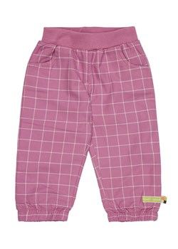 loud + proud Spodnie dresowe w kolorze fioletowym ze sklepu Limango Polska w kategorii Spodnie i półśpiochy - zdjęcie 165221531