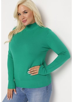 Zielony Sweter z Golfem Erimessa ze sklepu Born2be Odzież w kategorii Swetry damskie - zdjęcie 165245322