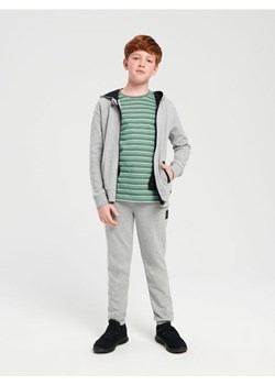 Sinsay - Spodnie dresowe jogger - szary ze sklepu Sinsay w kategorii Spodnie chłopięce - zdjęcie 165356140