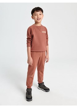 Sinsay - Spodnie dresowe jogger - czerwony ze sklepu Sinsay w kategorii Spodnie chłopięce - zdjęcie 165602424