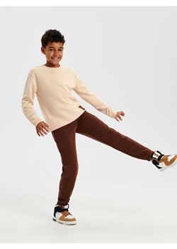 Sinsay - Spodnie dresowe jogger - brązowy ze sklepu Sinsay w kategorii Spodnie chłopięce - zdjęcie 165704173