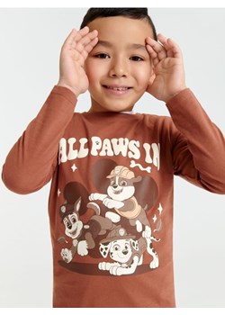Sinsay - Koszulka Psi Patrol - brązowy ze sklepu Sinsay w kategorii T-shirty chłopięce - zdjęcie 166041191
