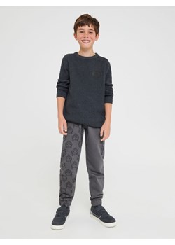 Sinsay - Sweter - szary ze sklepu Sinsay w kategorii Swetry chłopięce - zdjęcie 166071414