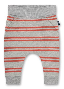 Sanetta Kidswear Spodnie dresowe w kolorze szarym ze sklepu Limango Polska w kategorii Spodnie i półśpiochy - zdjęcie 166150040