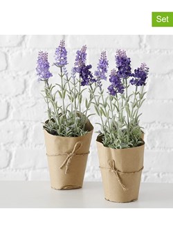 Boltze Sztuczne rośliny (2 szt.) w kolorze fioletowym - wys. 32 cm ze sklepu Limango Polska w kategorii Doniczki i osłonki - zdjęcie 166371372