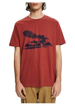 ESPRIT Koszulka w kolorze brązowo-czerwonym ze sklepu Limango Polska w kategorii T-shirty męskie - zdjęcie 166446974