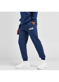 PUMA SPODNIE KEY GRAPHIC PANTS FL ze sklepu JD Sports  w kategorii Spodnie męskie - zdjęcie 166467422