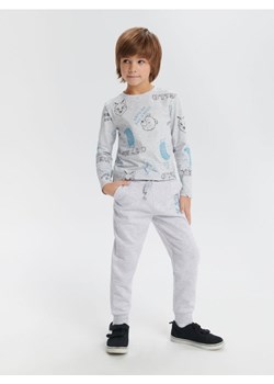 Sinsay - Spodnie dresowe jogger - szary ze sklepu Sinsay w kategorii Spodnie chłopięce - zdjęcie 166480061
