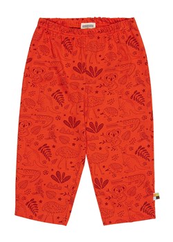 loud + proud Spodnie w kolorze czerwonym ze sklepu Limango Polska w kategorii Spodnie chłopięce - zdjęcie 167364883