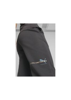 Spodnie dresowe damskie Puma ESS BETTER 67329975 M Szare (4065453219320). Spodnie dresowe damskie ze sklepu Rozetka.pl w kategorii Spodnie damskie - zdjęcie 167699342