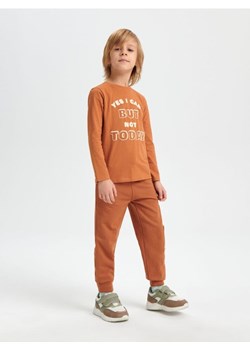Sinsay - Spodnie dresowe jogger - brązowy ze sklepu Sinsay w kategorii Spodnie chłopięce - zdjęcie 167782132