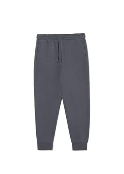 Cropp - Szare dresowe joggery - szary ze sklepu Cropp w kategorii Spodnie męskie - zdjęcie 168206061