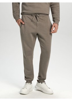 Sinsay - Spodnie dresowe jogger - szary ze sklepu Sinsay w kategorii Spodnie męskie - zdjęcie 168730214