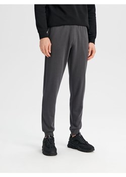 Sinsay - Spodnie dresowe jogger - szary ze sklepu Sinsay w kategorii Spodnie męskie - zdjęcie 168844964