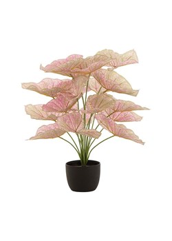 J-Line sztuczna roślina w doniczce ze sklepu ANSWEAR.com w kategorii Dekoracje - zdjęcie 168981453