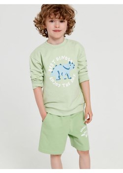 Sinsay - Bluza z nadrukiem - zielony ze sklepu Sinsay w kategorii Bluzy chłopięce - zdjęcie 169146273
