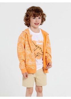 Sinsay - Bluza rozpinana - pomarańczowy ze sklepu Sinsay w kategorii Bluzy chłopięce - zdjęcie 169146281