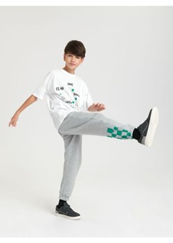 Sinsay - Spodnie dresowe jogger - szary ze sklepu Sinsay w kategorii Spodnie chłopięce - zdjęcie 169199211